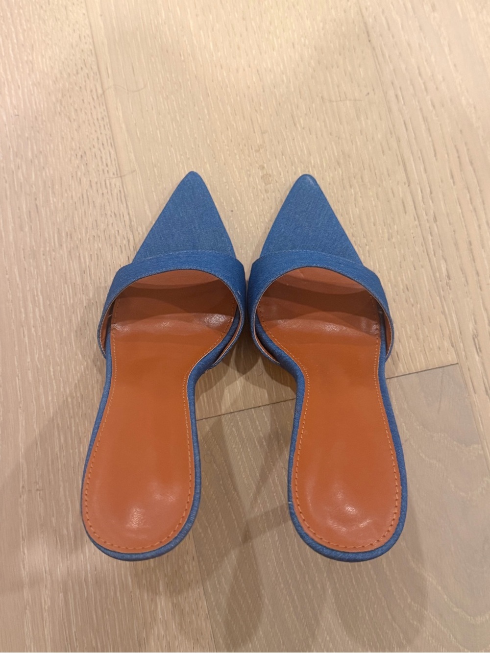 Blue Pointed-Toe Slip-On Mules